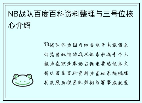 NB战队百度百科资料整理与三号位核心介绍