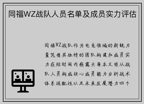 同福WZ战队人员名单及成员实力评估