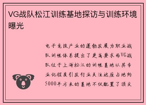 VG战队松江训练基地探访与训练环境曝光